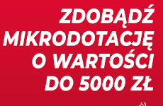 Więcej o: Konkursu na rozwój instytucjonalny Młodych Organizacji Pozarządowych