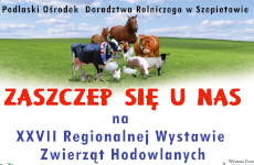 Więcej o: XXVII Wystawa Zwierząt Hodowlanych i Dni z Doradztwem Rolniczym oraz VIII Ogólnopolska Wystawa Królików Rasowych