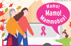 Więcej o: Mammografia w mammobusie